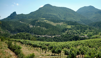 Fototapeta na wymiar The village of St-Benoit-en-Diois and a vineyard of Clairette do Die grapes.