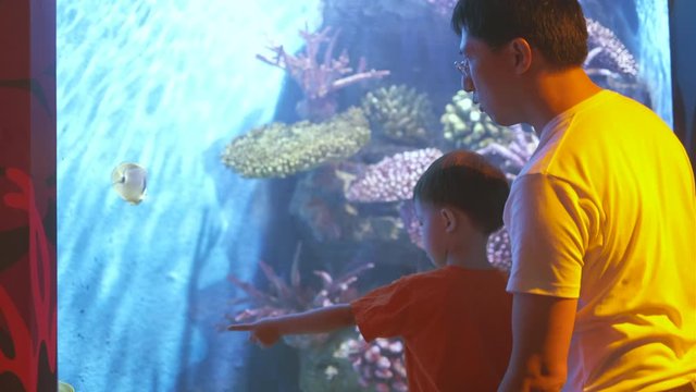 Father and son looking at fish in aquarium, Asian dad and toddler son watching fish swimming in oceanarium, Dad and kid pointing at fish, Family enjoying underwater life in Aquarium