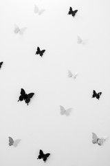 Fototapeta na wymiar grayscale photograph of butterflies on white background