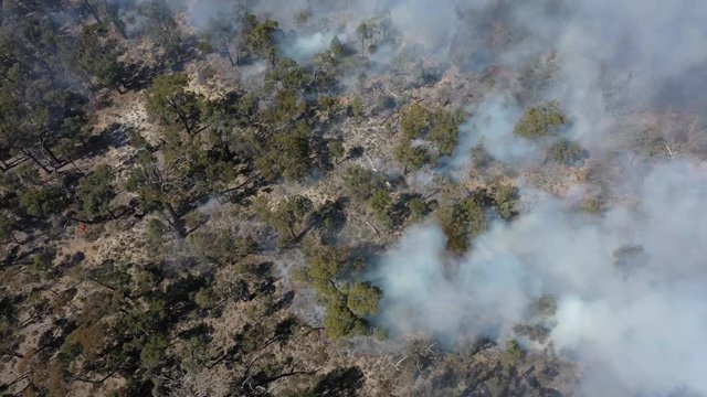 Bushfire in Australia. Drought and Climate Change increase likelihood of these forest fires.	