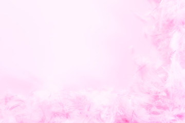 Fototapeta premium Beautiful abstract colorful white and orange feathers on dark background and soft white pink feather texture on white pattern