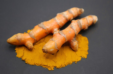 fresh root organic turmeric on Turmeric powder on black background.