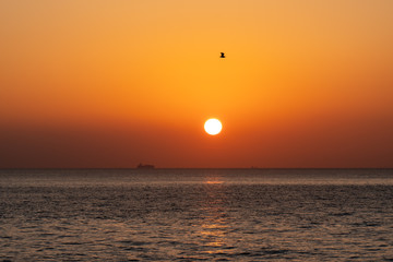 城ヶ崎海岸の朝日