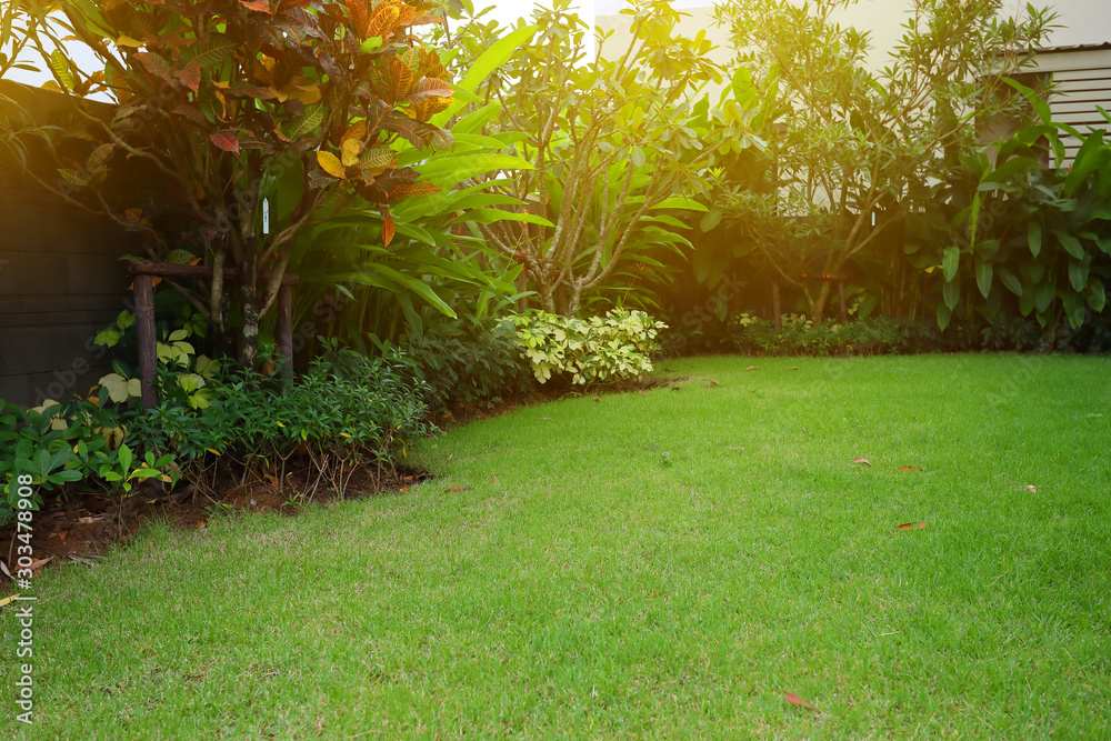 Wall mural lawn landscaping with green grass turf in garden home