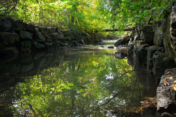 Fototapeta premium Slow small river green plants background