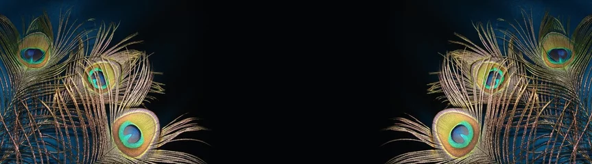 Foto op Plexiglas pauwenveren op een donkere gradiëntachtergrond mooie horizontale banner o © annet