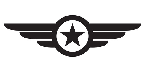Star with wings logo. Military and Army winged badge. Aviation emblem. Vector illustration. © metelsky25