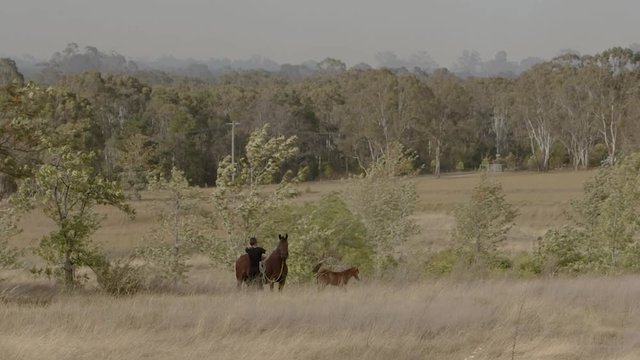 A young lady watching on with her horses as a bush fire burns in the rural town of Greta on 12th November 2019, Hunter Region, New South Wales, Australia