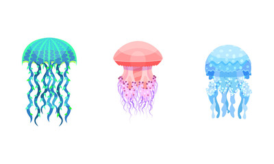 Set of pink and blue jellyfish. Vector illustration.