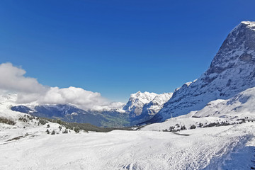 Fototapeta na wymiar Peak of Switzerland Grindelawld snow mountain with blue sky.