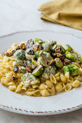 Conchiglie / Conchiglioni Homemade Pasta with Brussel Sprouts, Milk Sauce and Walnuts.