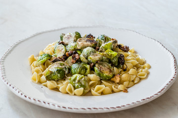 Conchiglie / Conchiglioni Homemade Pasta with Brussel Sprouts, Milk Sauce and Walnuts.