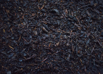 black tea in dark background