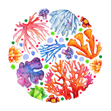 Round composition with color colars and spots. Hand drawn watercolor illustration