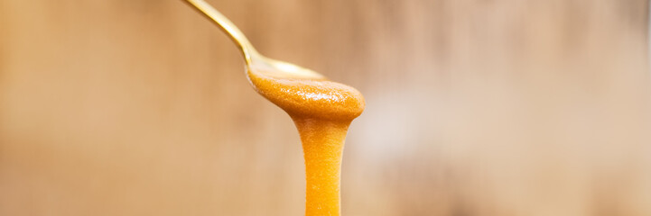 Manuka honey dripping from golden spoon healthy natural superfood on wooden panoramic banner...