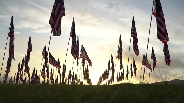 Set of American flags fluttering in the wind on the Memorial Day On the Sunset. Los Angeles, California, USA. Low angle view. Lens flare. Field with green grass.