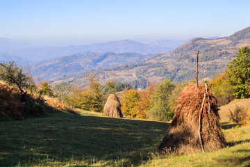 Rural Autumn Landscape