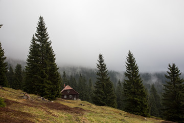 Einsame Hütte im Wald