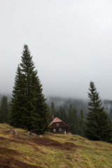 Einsame Waldhütte 