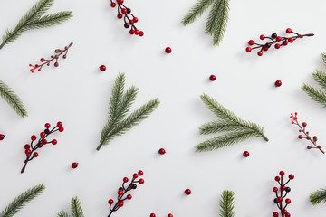 Evergreen tree branch and red berries