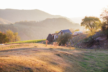 autumn rural landscape at sunset