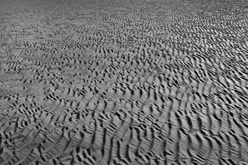 Fototapeta premium water marks on sand