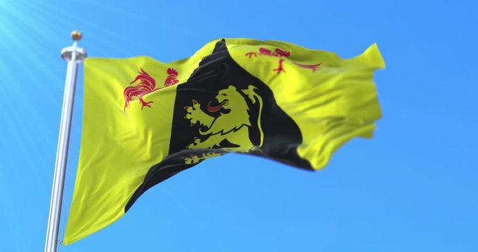 Flag of the belgian province of Walloon Brabant, in Wallonia. Belgium. Loop
