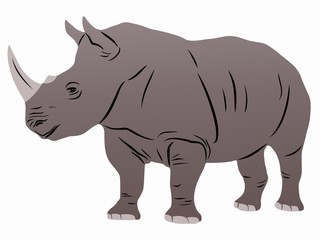 isolated illustration of rhino , vector drawing