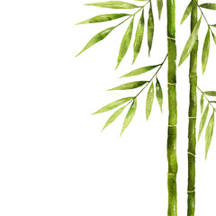 Watercolor bamboo stem with green leaves and copy space.