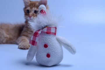 cat playing with toy snowman