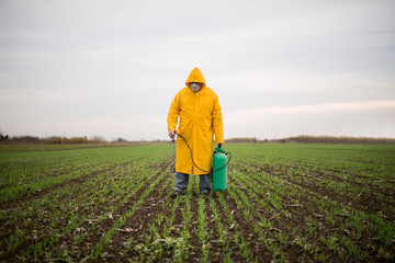 Farmer in his field, spraying wheat against pests