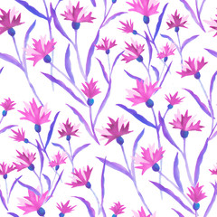 Fototapeta na wymiar Beautiful watercolor illustration with watercolour blue cornflower on white background. seamless pattern. Watercolour illustration. Watercolor botanical illustration.
