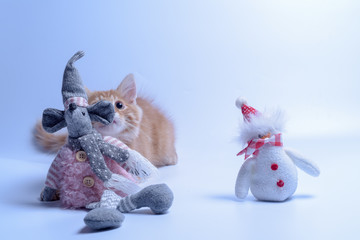 red cat plays with a rat and a snowman