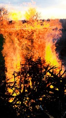 fire on black background