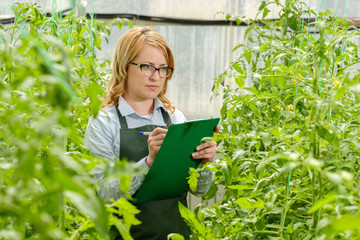 A young girl works in a greenhouse. Industrial cultivation of vegetables.