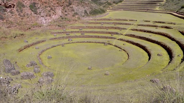 Inca terraces for farming. Terraces in shape of circles at Moray in Peru.