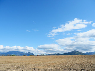 Europe Romania Sinaia farm landscape
