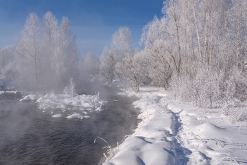 snow river frost birch hoarfrost fog winter