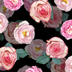 Beautiful flower background of dogrose and roses. Isolated