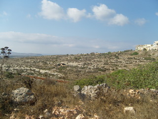 Malta caracteristic summer landscapes with scarce vegetation