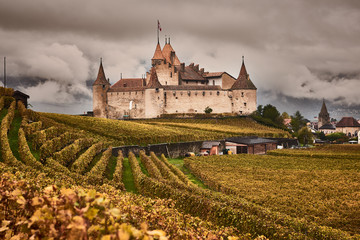 The Castle and the vineyards of Aigle in autumn. Switzerland