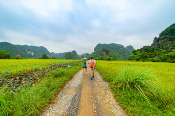Couple walking hand on countryside road among rice fields. Man with backpack and Woman with vietnamese hat having fun traveling together on vacation. Tam Coc Trang An Ninh Binh