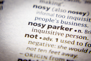 Word or phrase Nosy parker in a dictionary.