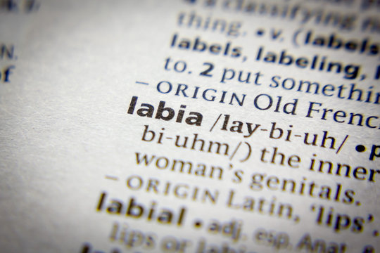 Word or phrase Labia in a dictionary.