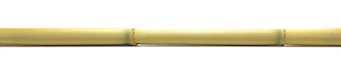 Bamboo stick isolated on white background
