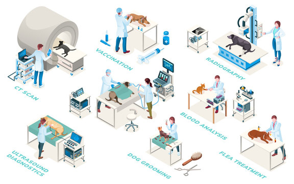 Veterinarian clinic doctors, diagnostic and treatment services, vector isometric icons. Veterinary medicine surgery, medical examination ultrasound, blood analysis, radiography and vaccination