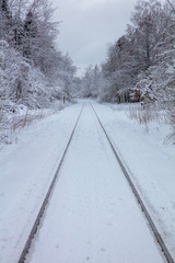 Obraz premium snow covered forrest rail road