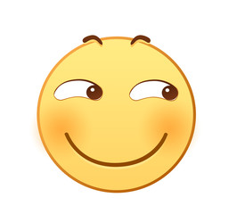 Fototapeta premium Smirk, weird, ridicule, smirk, snicker, expression, emotion, eyes, illustration, avatar, cute,