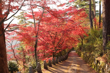 吉野山の紅葉
