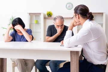 Financial advisor giving retirement advice to old couple